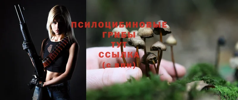 Галлюциногенные грибы MAGIC MUSHROOMS  МЕГА зеркало  Скопин  купить  